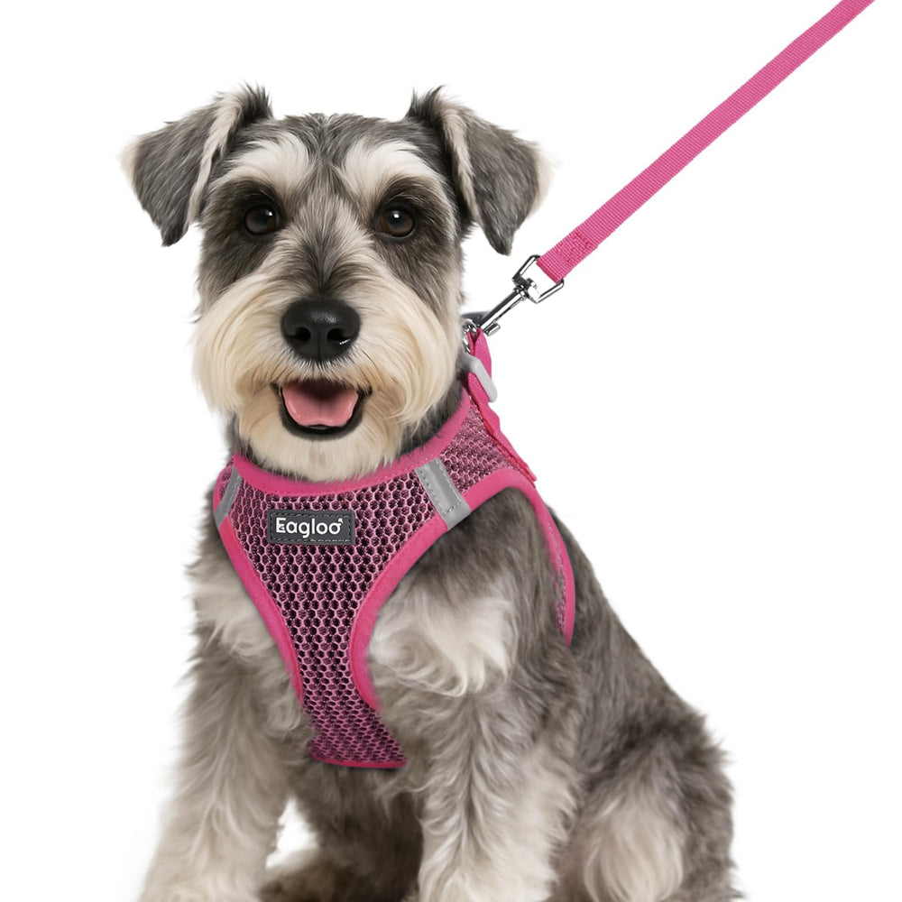 Harnais Eagloo pour petit chien rose avec mesh respirant pour le confort.