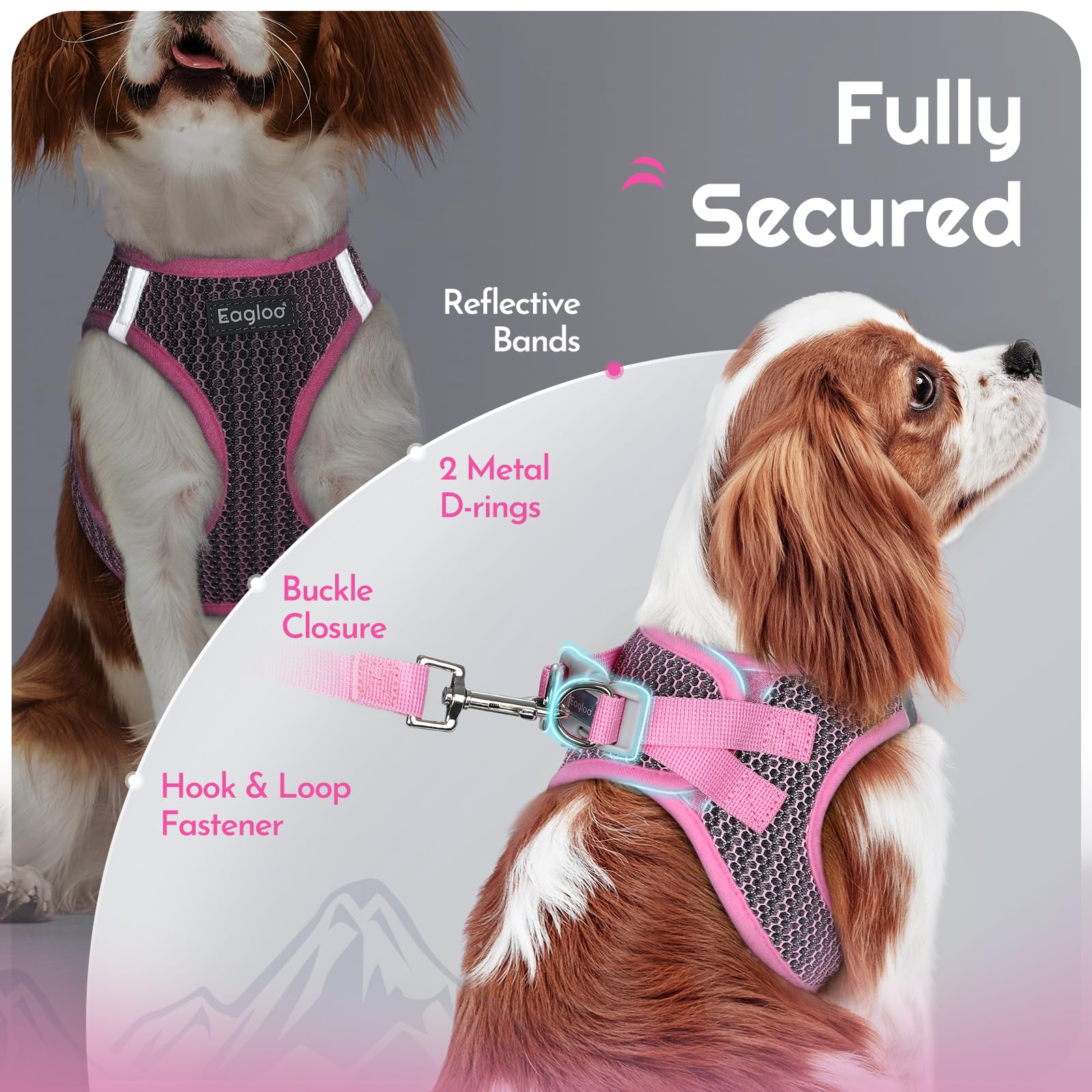 Enfilage facile du harnais Eagloo rose pour chien