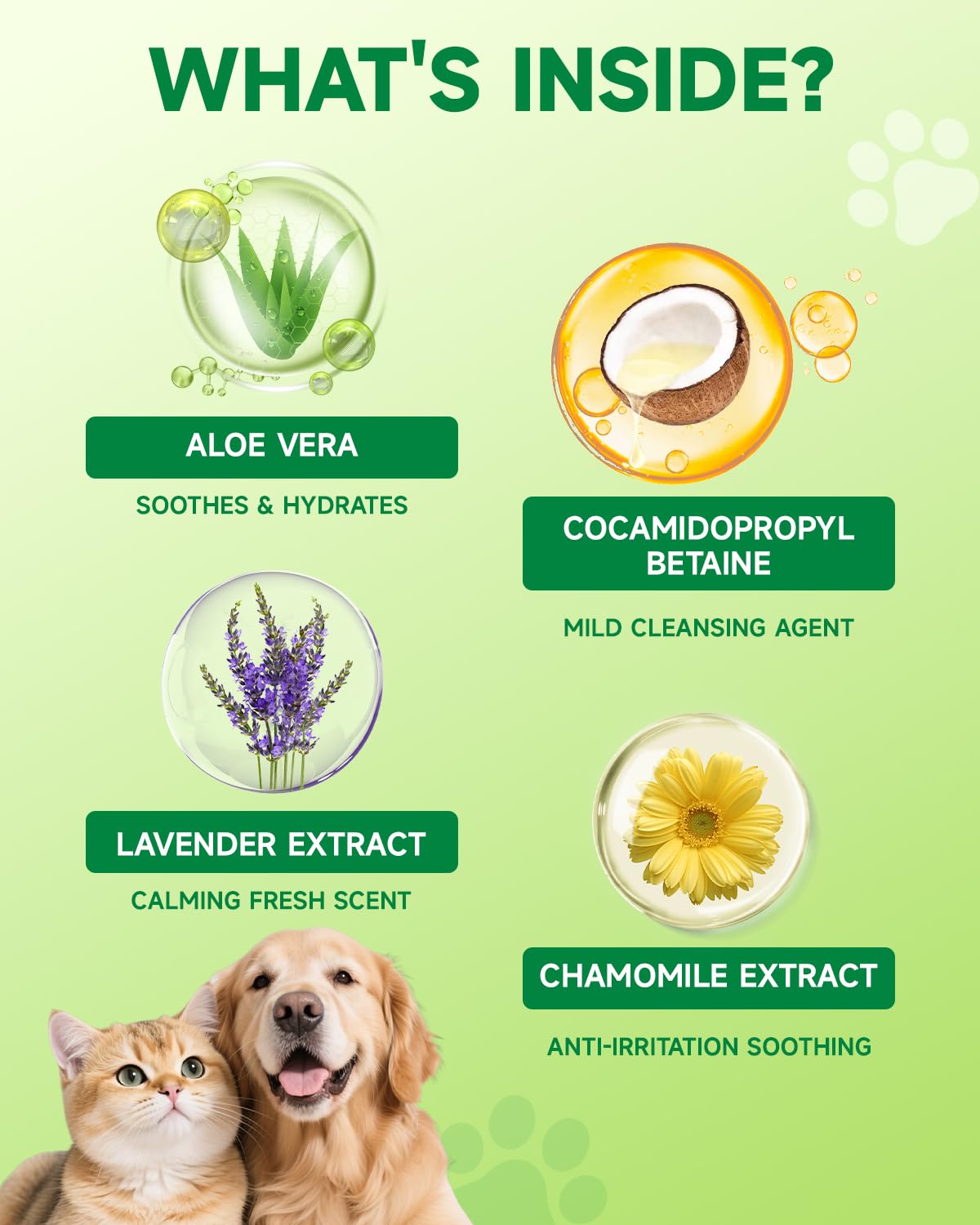Eagou Diary – flacon pratique pour oreilles sensibles, rinçage doux et sûr.
