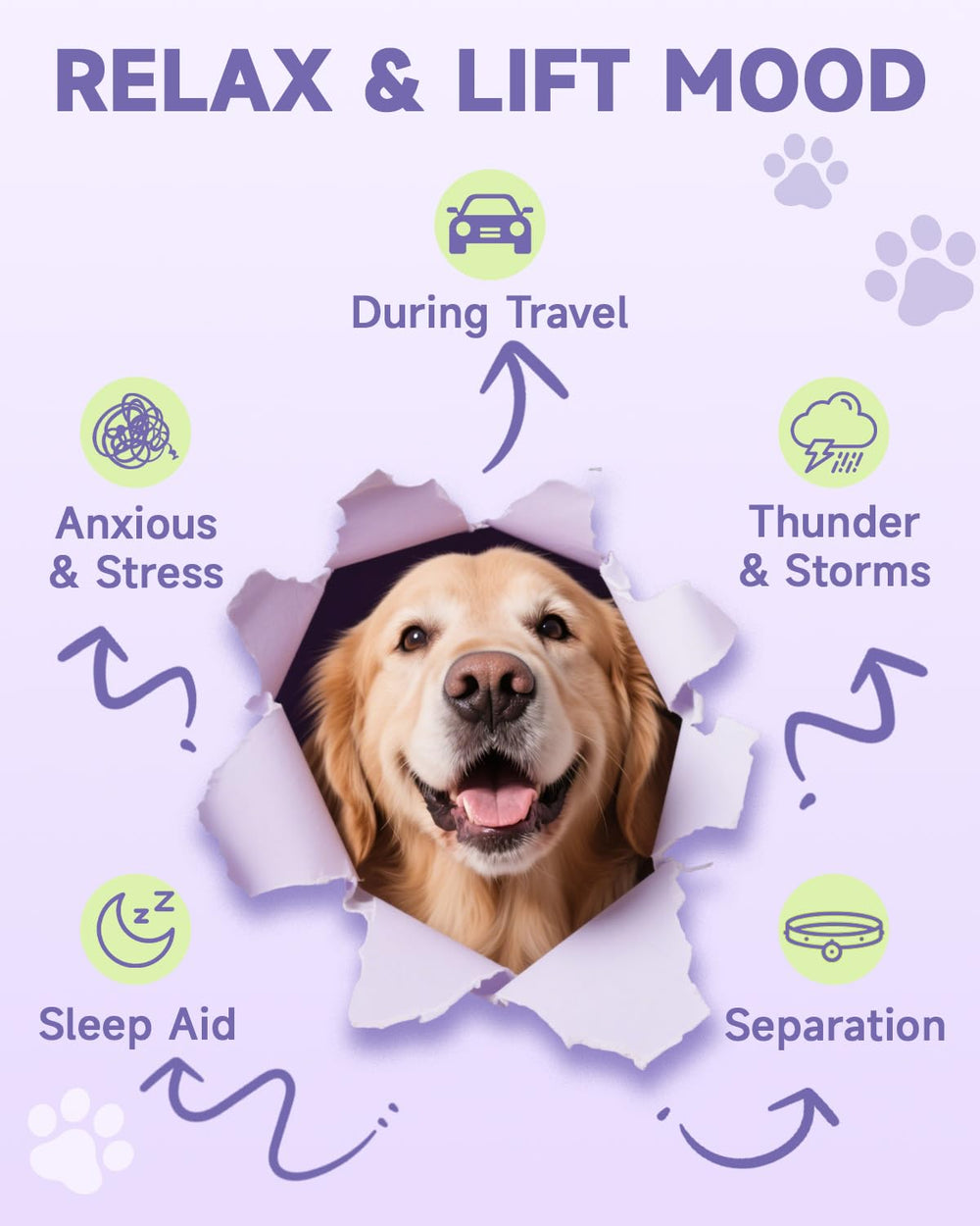 Gouttes apaisantes Eagou Diary — composition naturelle soutenant le calme du chien.
