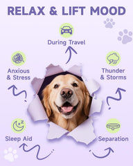 Gouttes apaisantes Eagou Diary — composition naturelle soutenant le calme du chien.