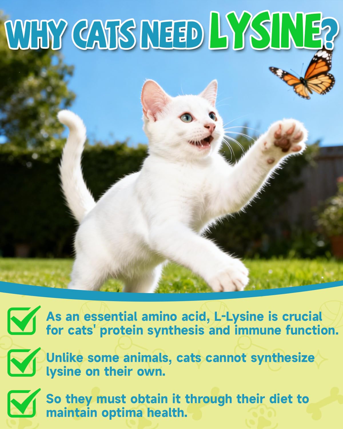 Gouttes Eagou Diary L-Lysine pour le soutien des voies respiratoires.