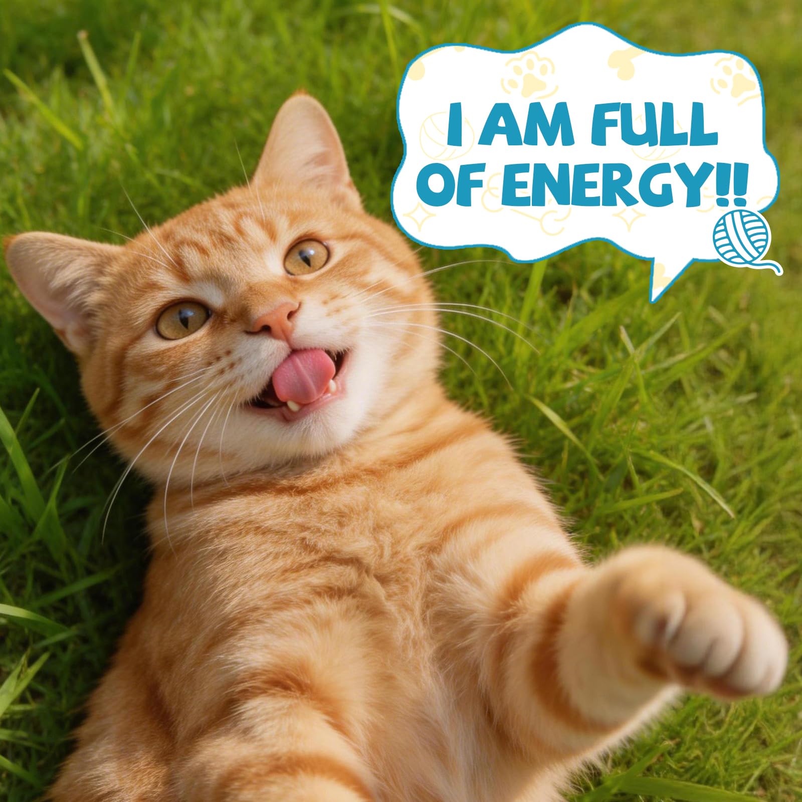 Formule pure Eagou Diary Taurine pour chats, sans additifs