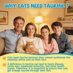Taurine Eagou Diary pour chats, soutien cœur et vision saine