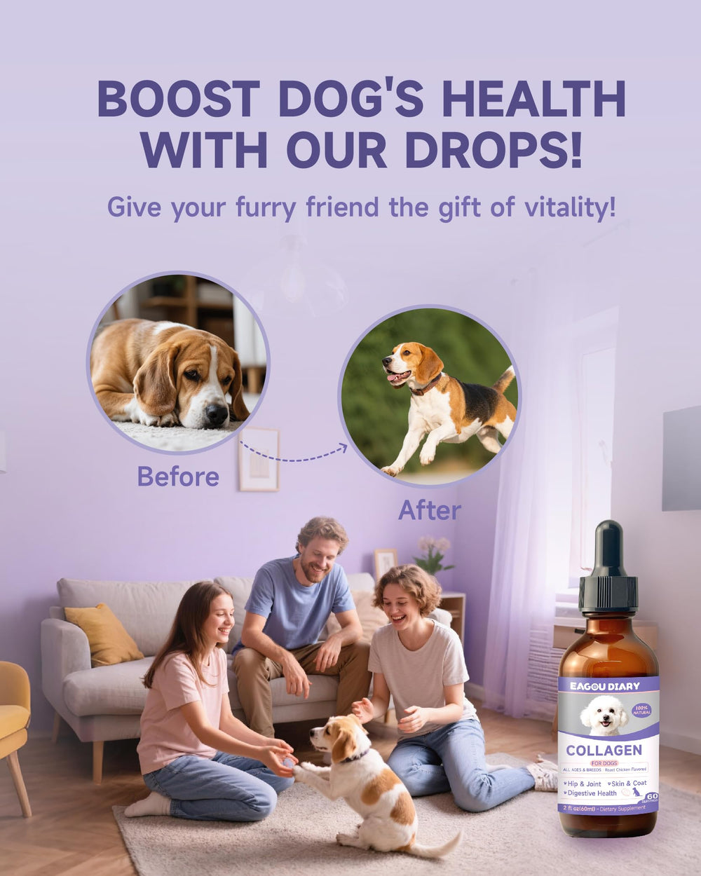 Utilisation quotidienne simple pour la routine bien-être du chien.