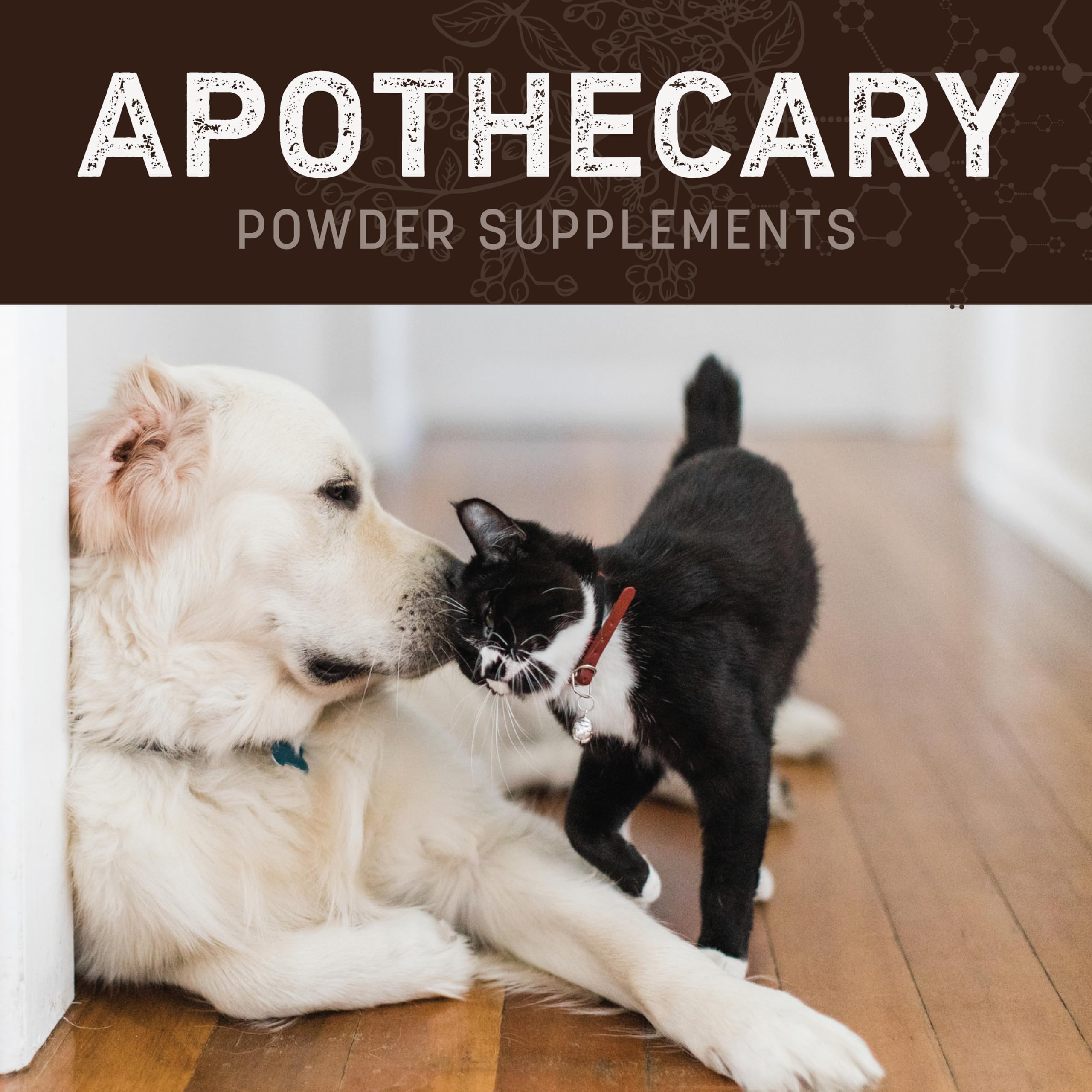 Earth Animal Apothecary Stop Stool – Dosage quotidien simple dans l alimentation pour soutenir l hygiène.