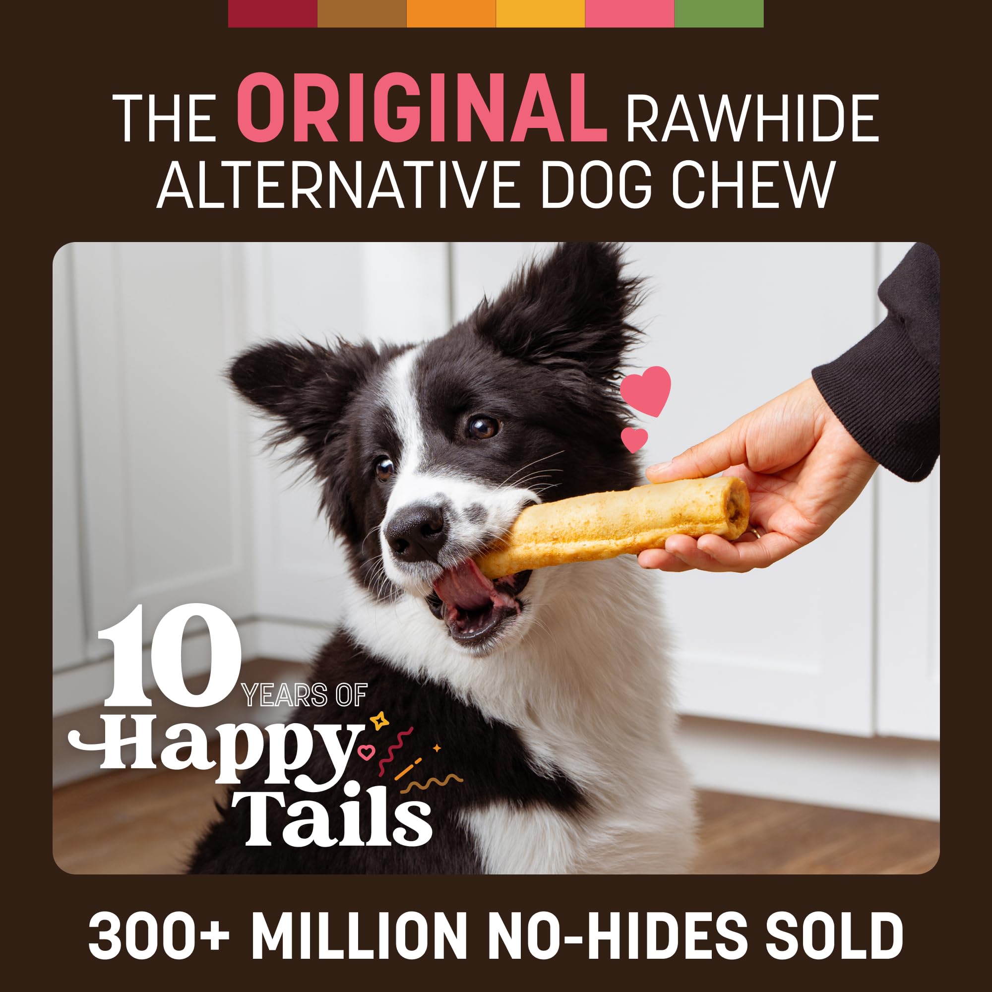 Chien en pleine mastication avec Earth Animal No Hide Chews saumon, bouchées durables.