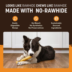 Earth Animal No Hide Chews – emballage simple, pratique pour les voyages