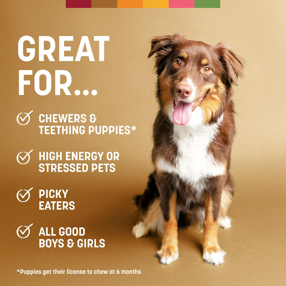 Earth Animal No Hide Chews fabriqué aux États‑Unis avec contrôle qualité.