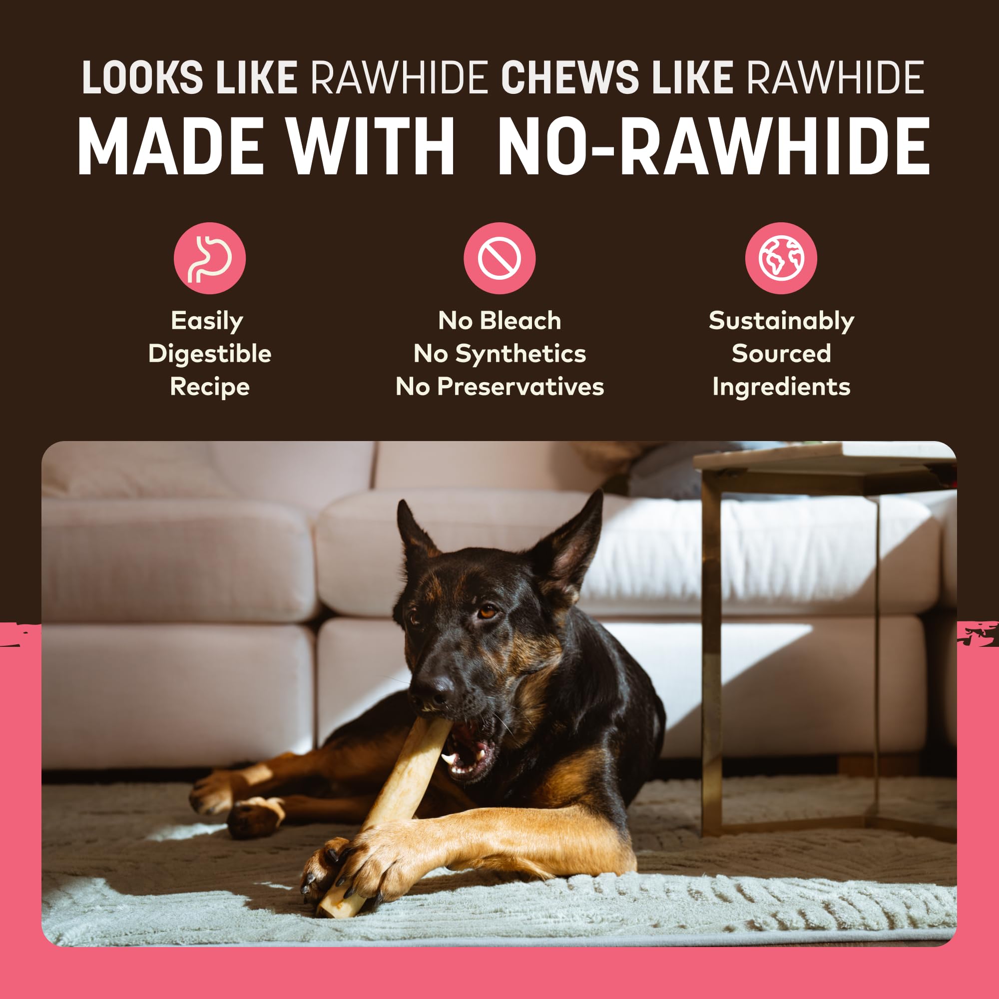 Earth Animal No Hide Chews saumon – ingrédients simples, sans cuir brut.