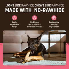 Earth Animal No Hide Chews saumon – ingrédients simples, sans cuir brut.