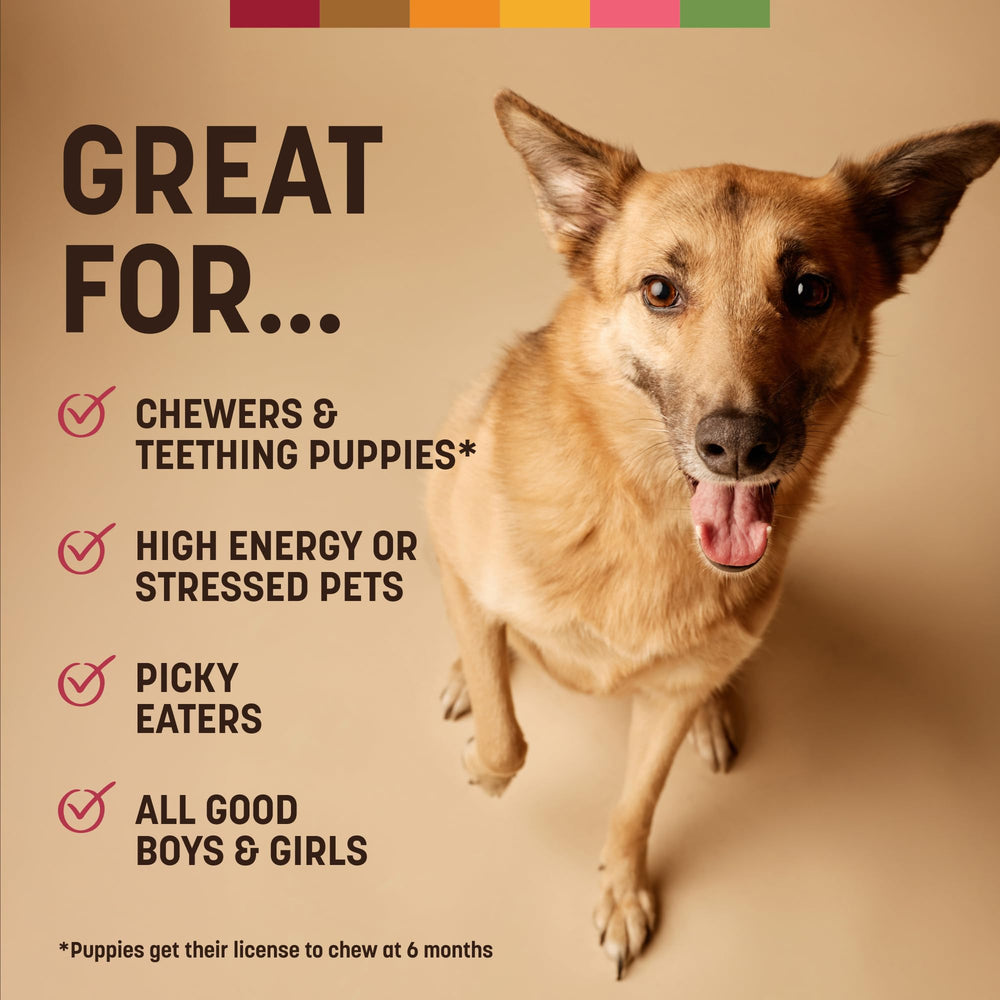 Earth Animal No Hide Chews – taille adaptée pour chiens pesant entre 46 et 75 livres.