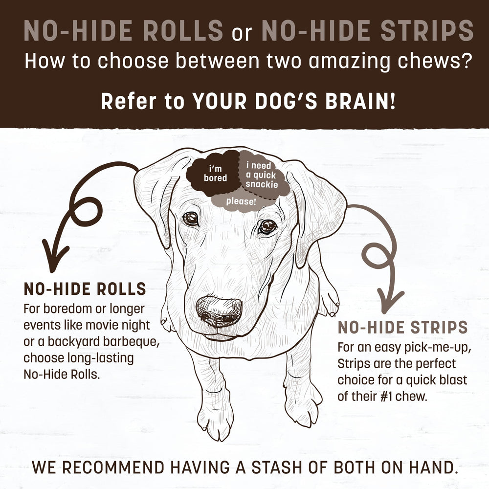 Earth Animal No-Hide Chews taille moyenne, sécurité et supervision recommandées.