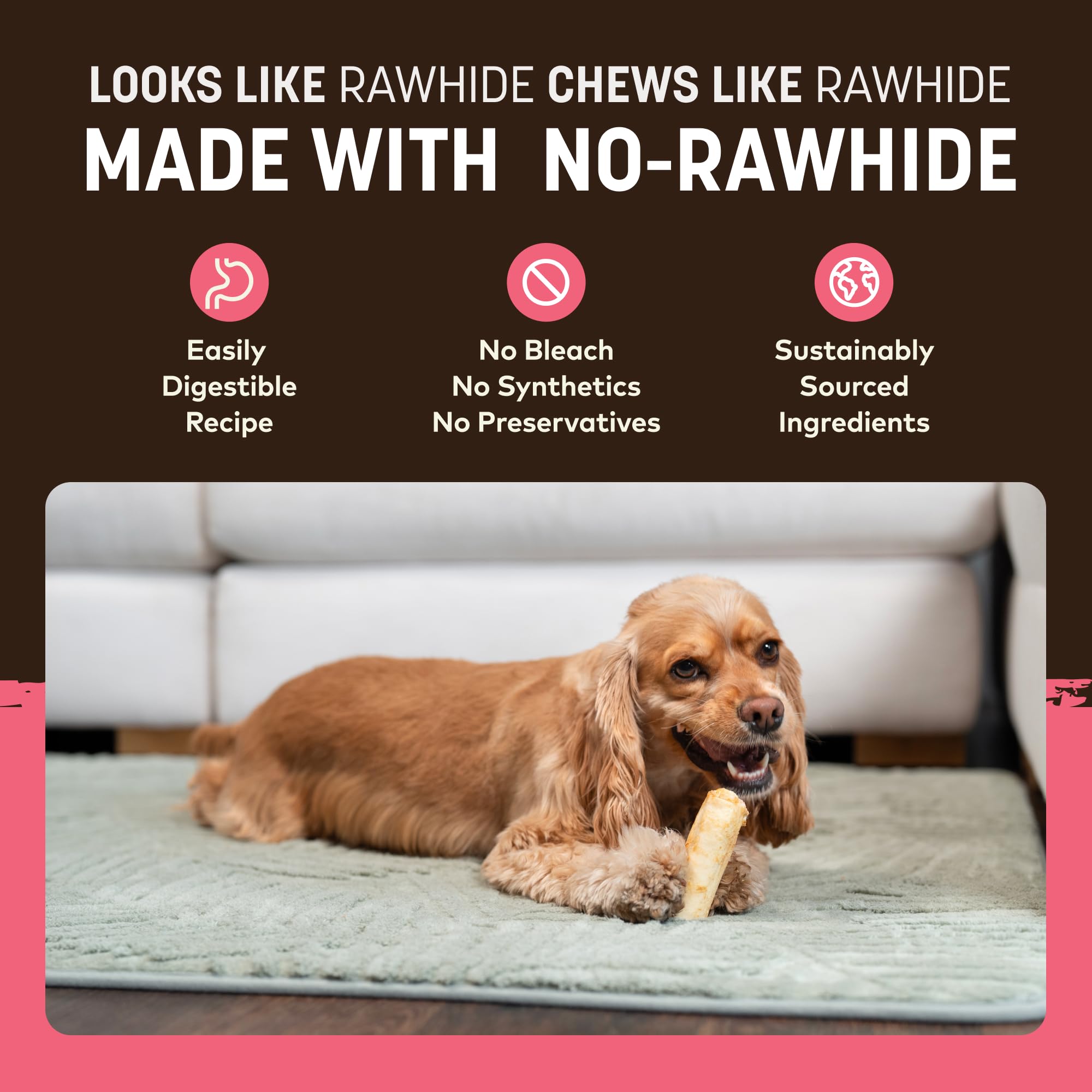 Utilisation pour chiens petits, Earth Animal No Hide Chews comme récompense durable.