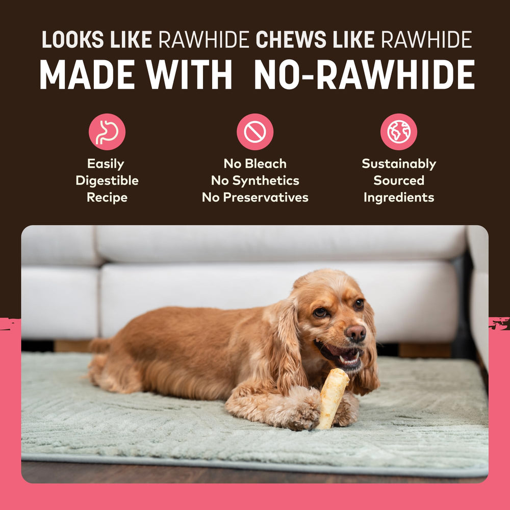Utilisation pour chiens petits, Earth Animal No Hide Chews comme récompense durable.