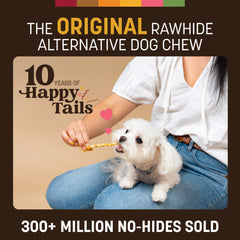 Petit chien mâchant Earth Animal No Hide Stix pour un grignotage durable.