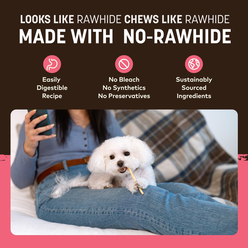 Earth Animal No Hide Stix saumon utile pour chiens de petite taille et chats.