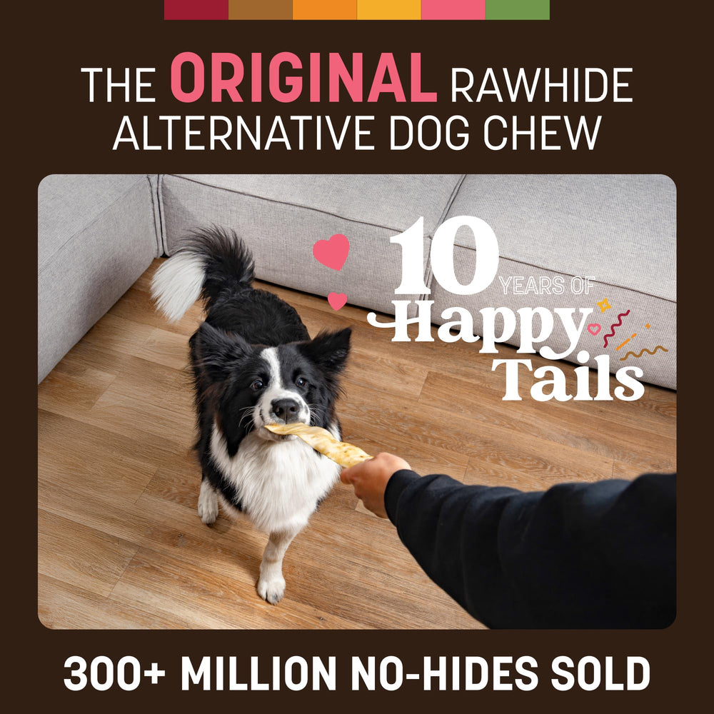 Earth Animal No Hide Strips saumon – ingrédients naturels et digestibles pour chiens.