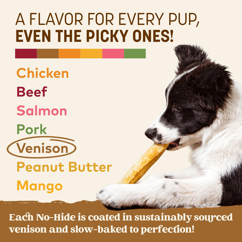 Earth Animal friandises sans cuir, chien en action lors de sessions de mastication.