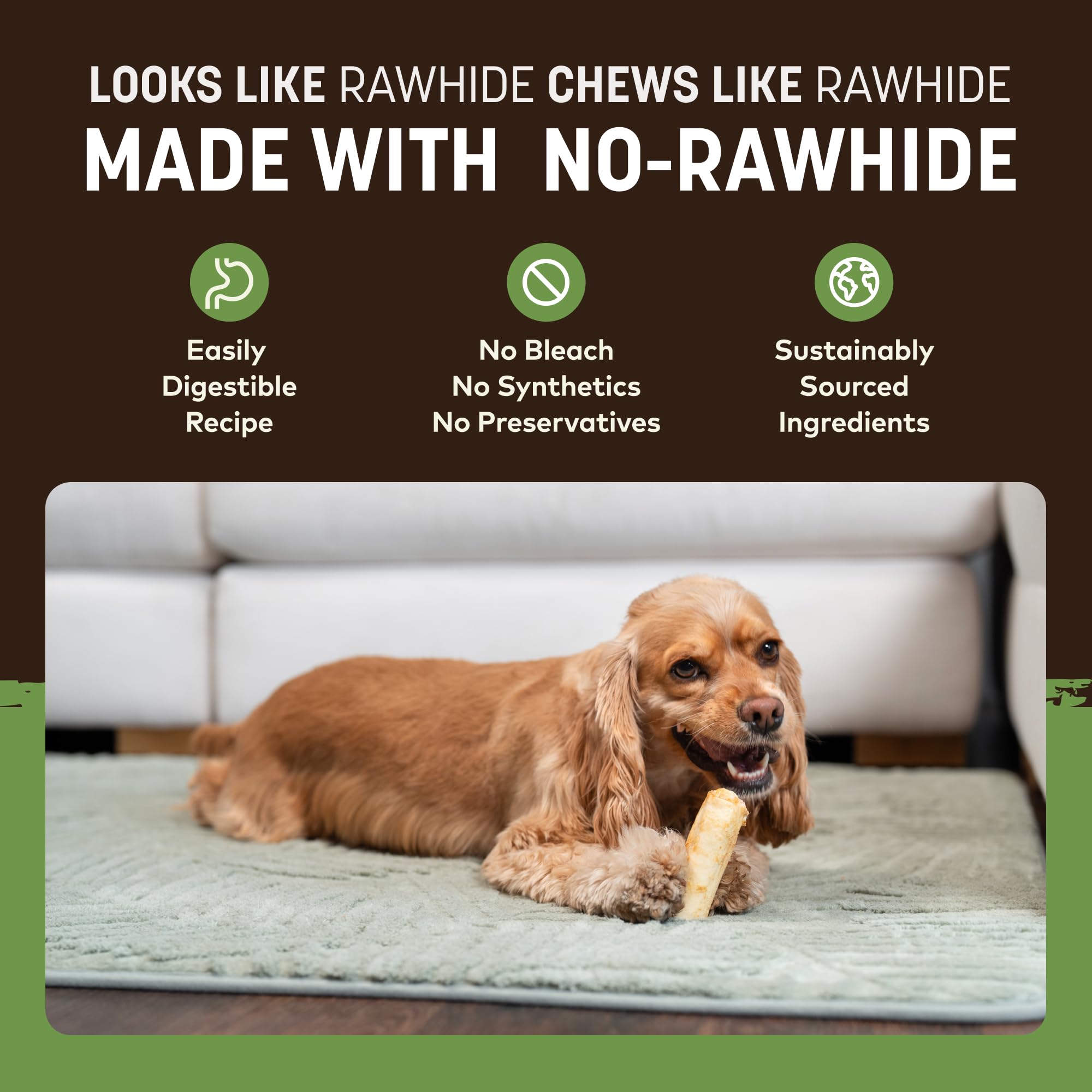 Chien qui mastique une friandise Earth Animal Sans Peau close-up