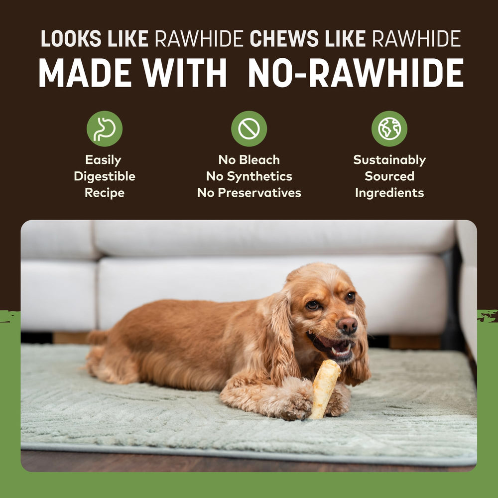 Chien qui mastique une friandise Earth Animal Sans Peau close-up