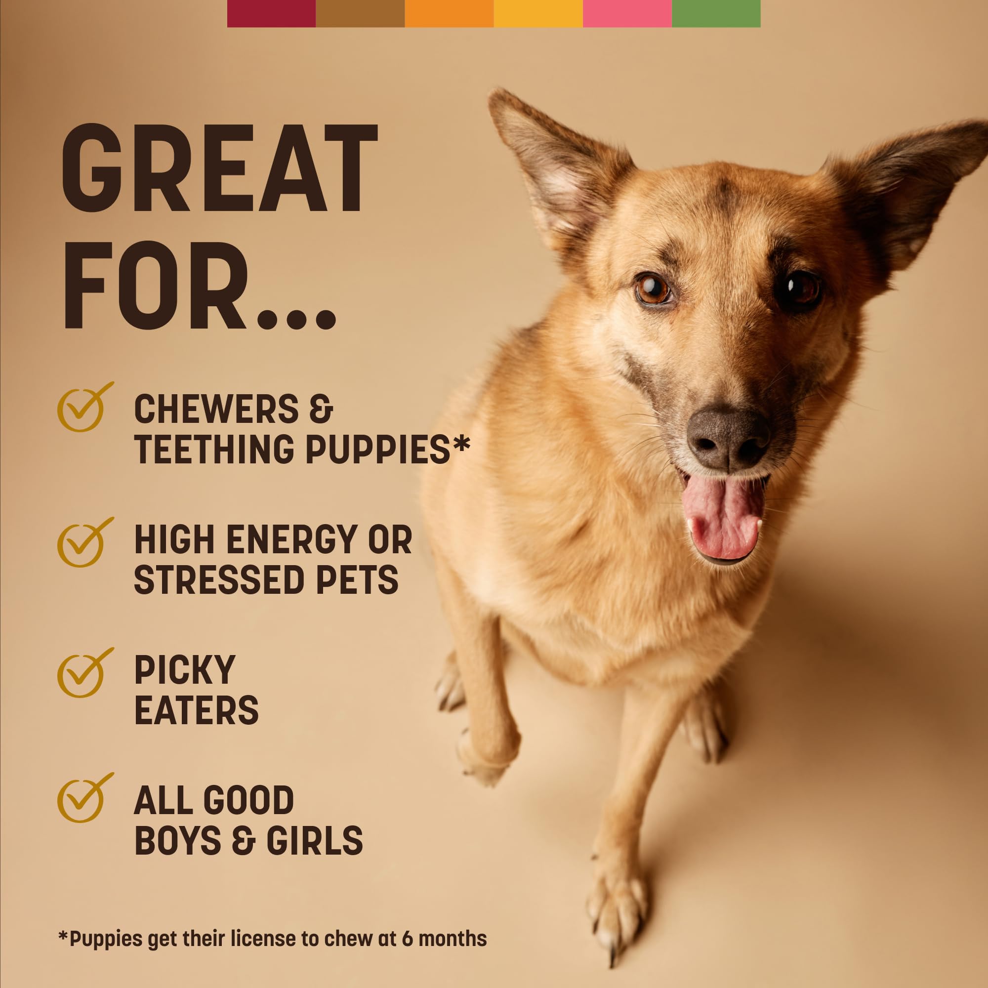 Earth Animal No Hide Strips: alternative sans peau brute, plaisir sain pour votre chien.