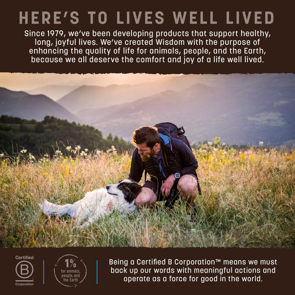 Earth Animal Wisdom certification B Corp témoigne d’une approche responsable et transparente.