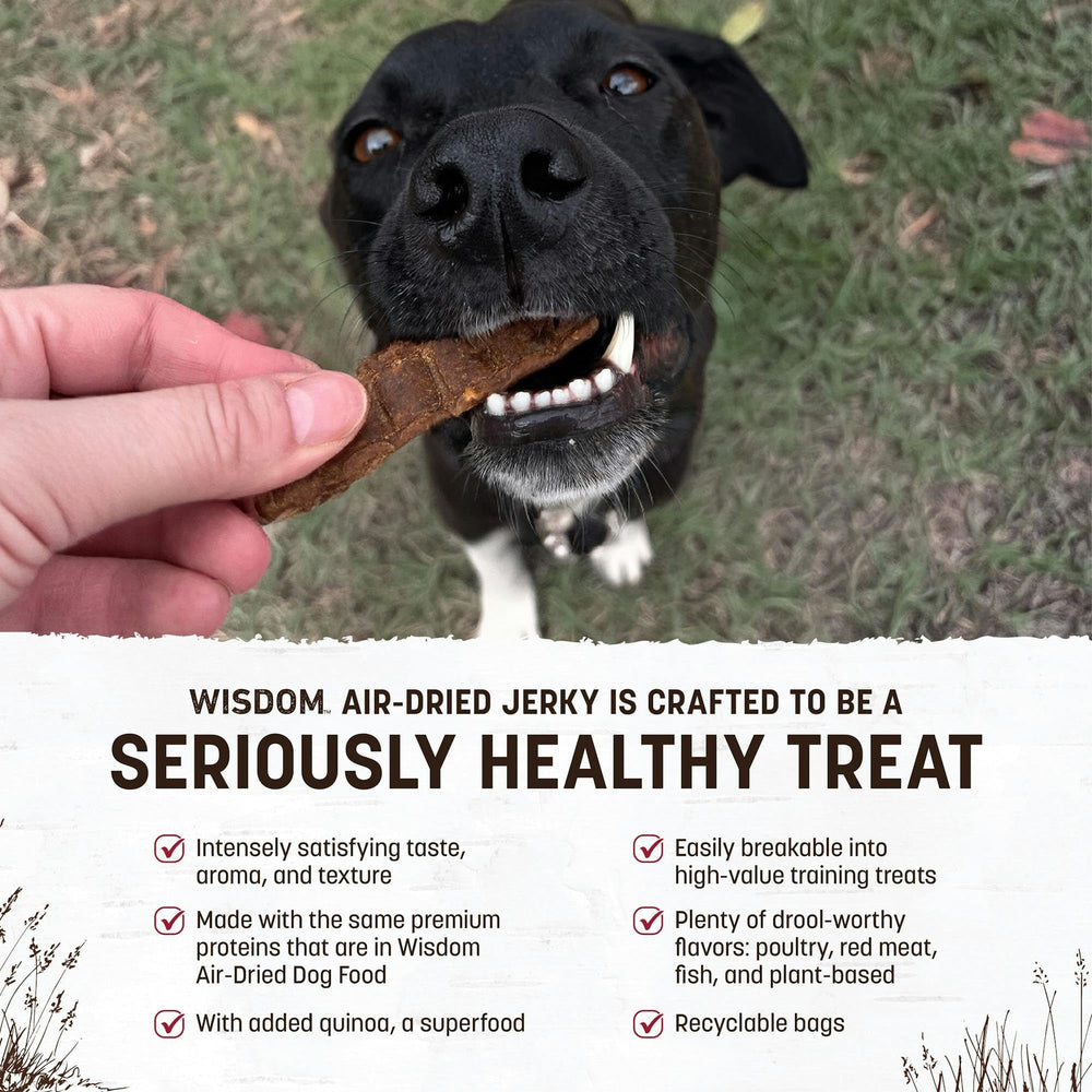 Earth Animal Wisdom jerky boeuf: friandise naturelle et protéinée pour chiens actifs.