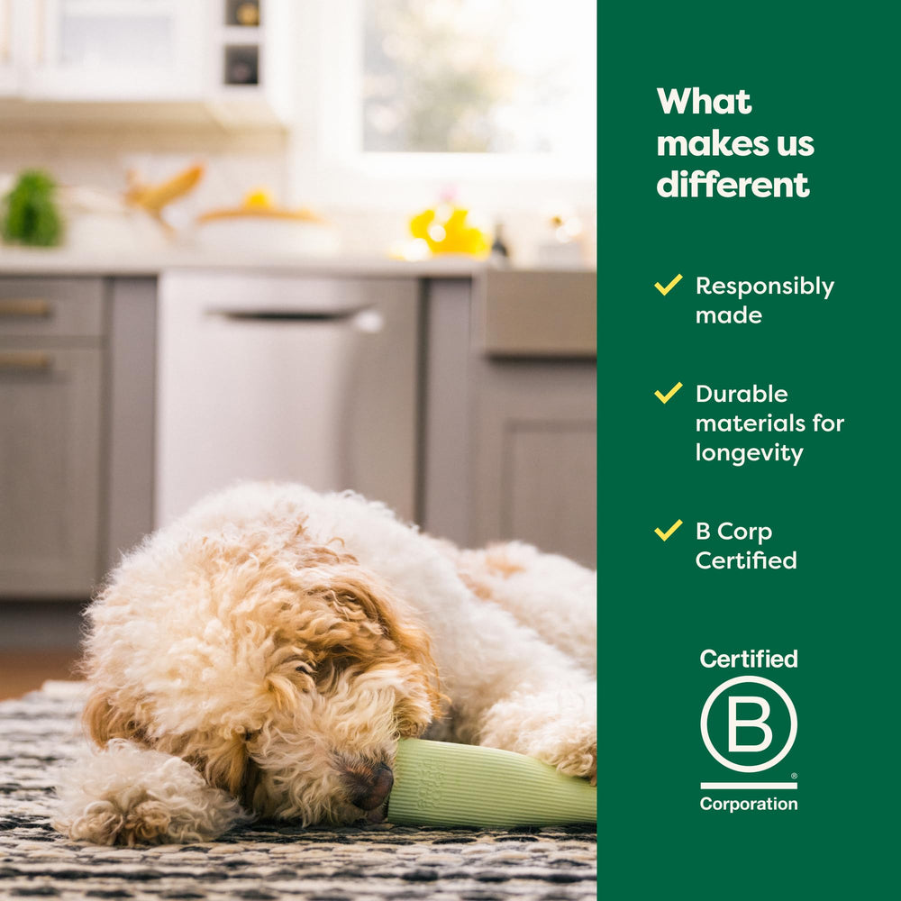 Earth Rated, jouet-chien-durable-naturel-caoutchouc: matériau naturel durable pour le quotidien.
