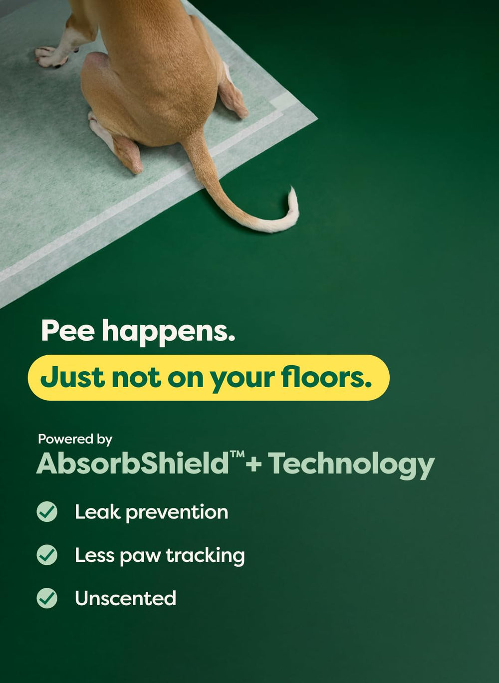 Earth Rated pad d'entraînement avec attractif intégré pour guider.