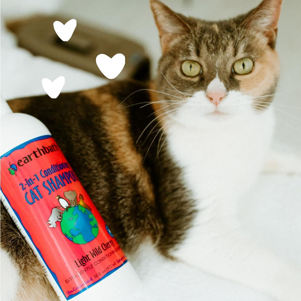 Earthbath Shampoing-chat Cerise Sauvage – ingrédients naturels respectueux de la peau