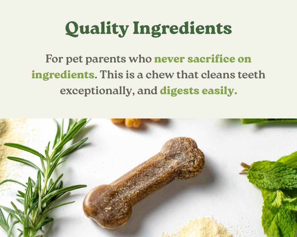 Ingrédients naturels Earthbones – friandise dentaire vegan pour chien.