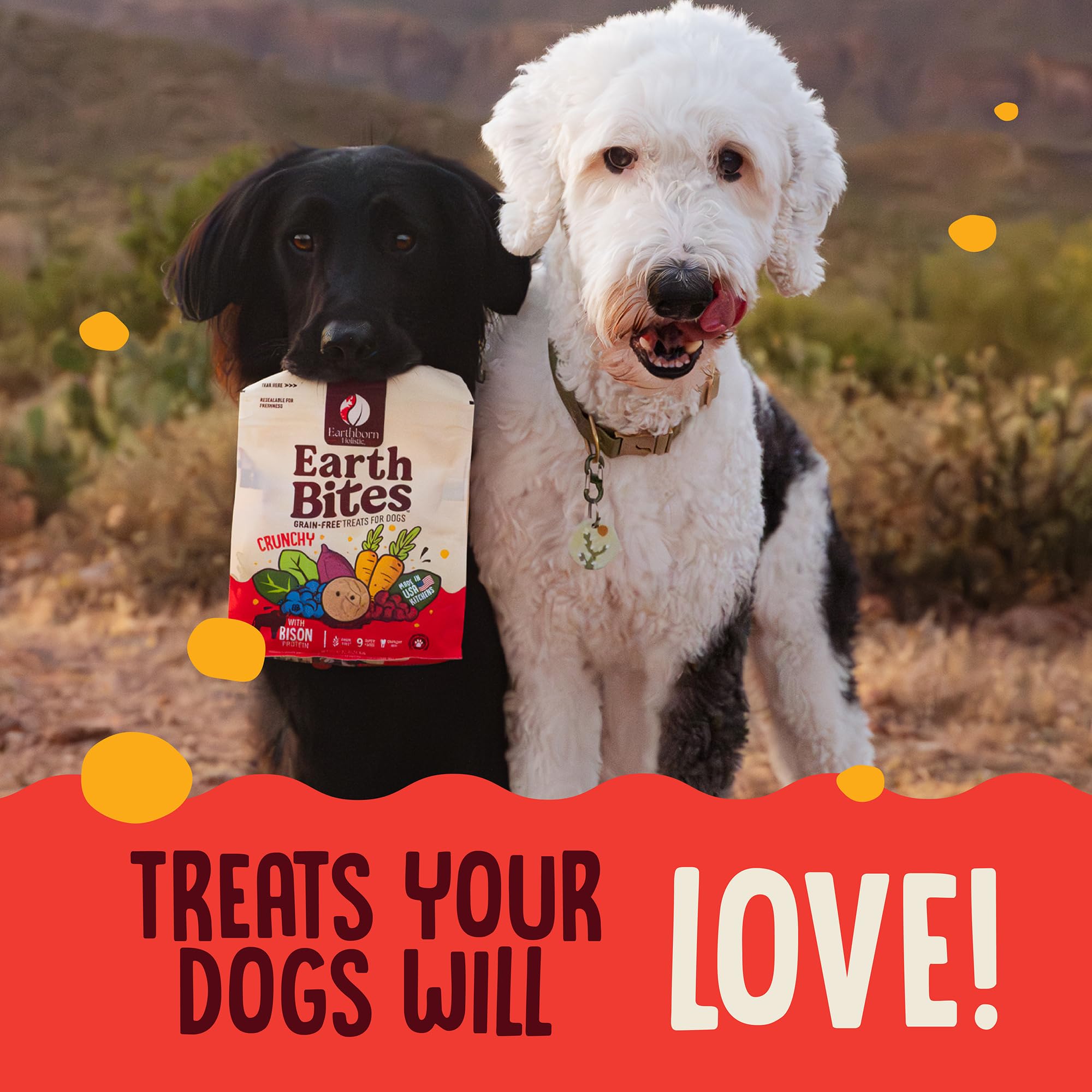 EarthBites sans pois ni additifs artificiels, friandise saine pour chiens.
