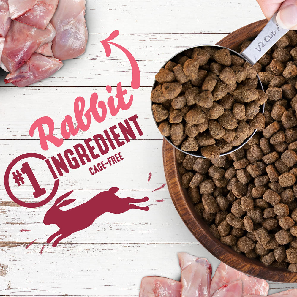 Earthborn Holistic lapin sans pois et légumineuses, choix adapté possible pour allergies.