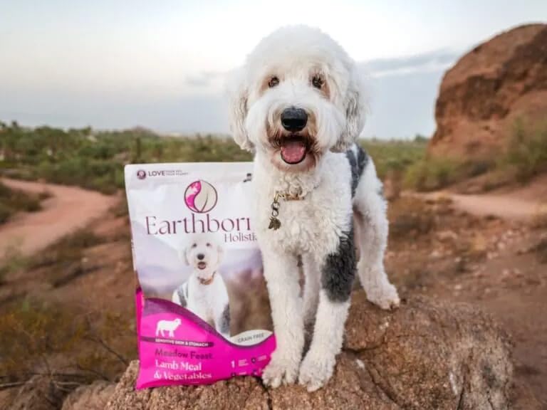 Production dans les cuisines américaines familiales d’Earthborn Holistic.