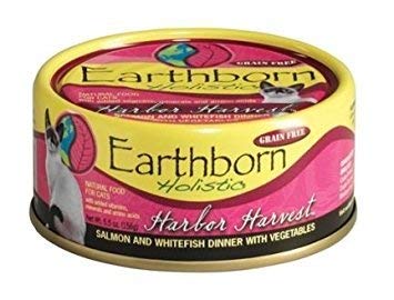 Chat dégustant Earthborn Holistic dans bol, repas équilibré