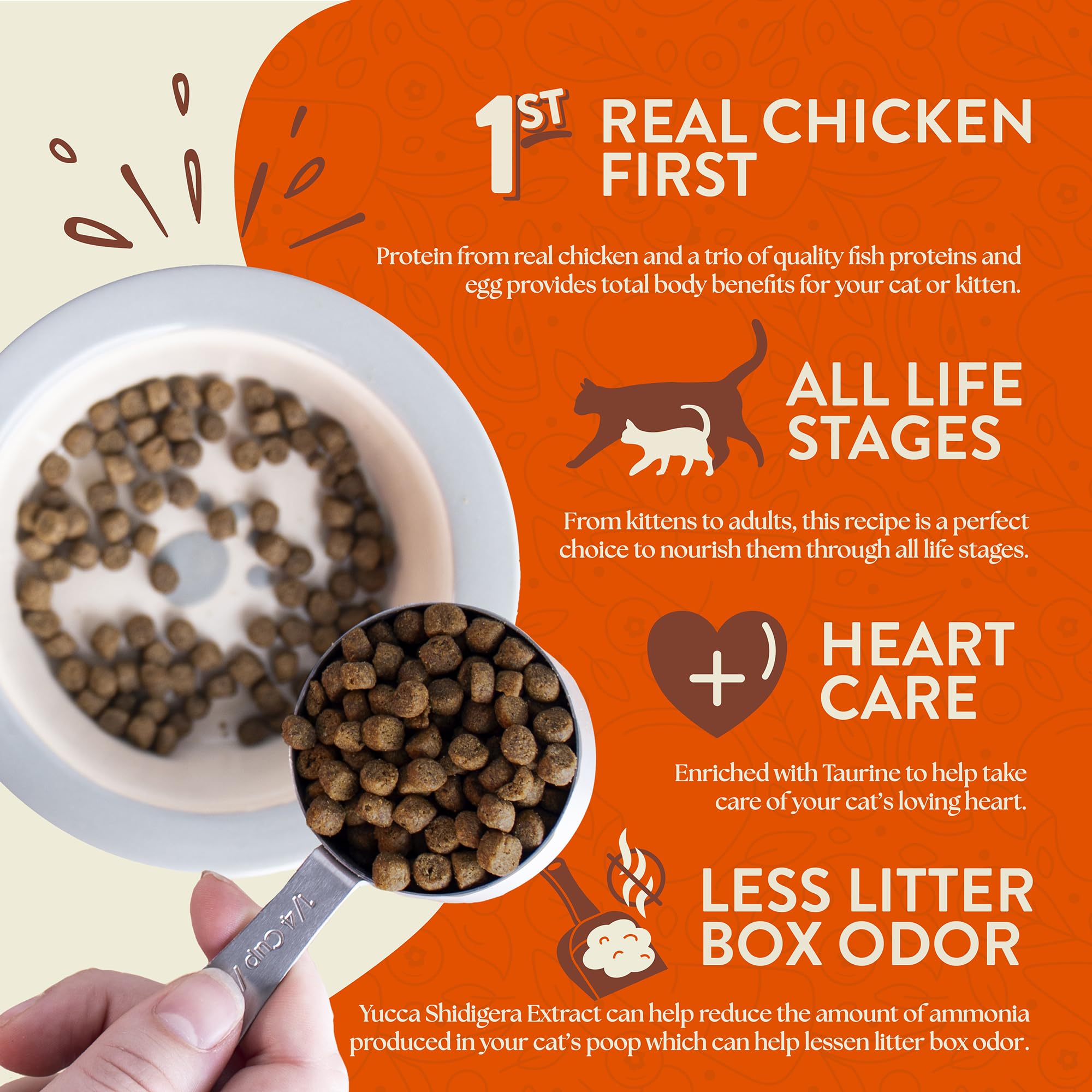 Earthborn Holistic Primitive Feline, prébiotiques et fibres naturelles pour digestion.