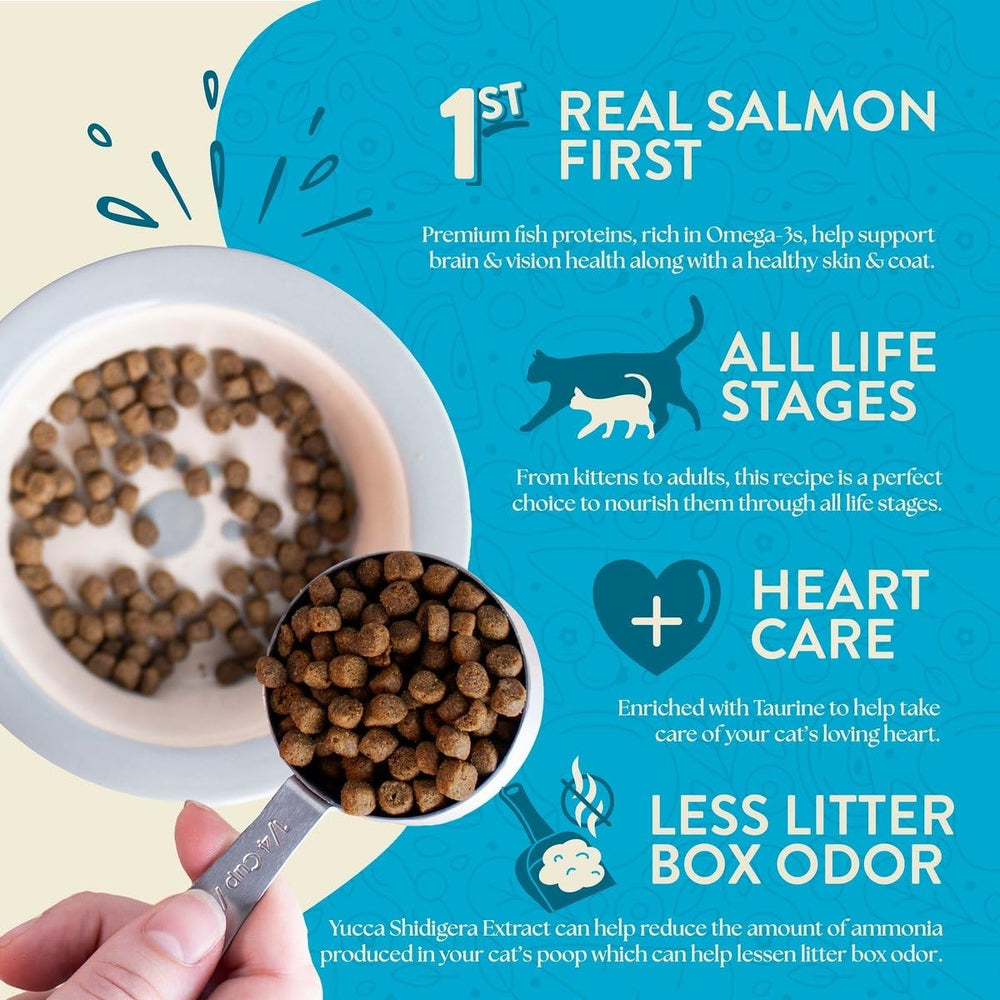Earthborn Holistic Wild Sea Catch: sans gluten ni céréales, convient aux chats sensibles.