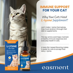 Chat acceptant le goût poisson avec Easment L-Lysine sur nourriture.