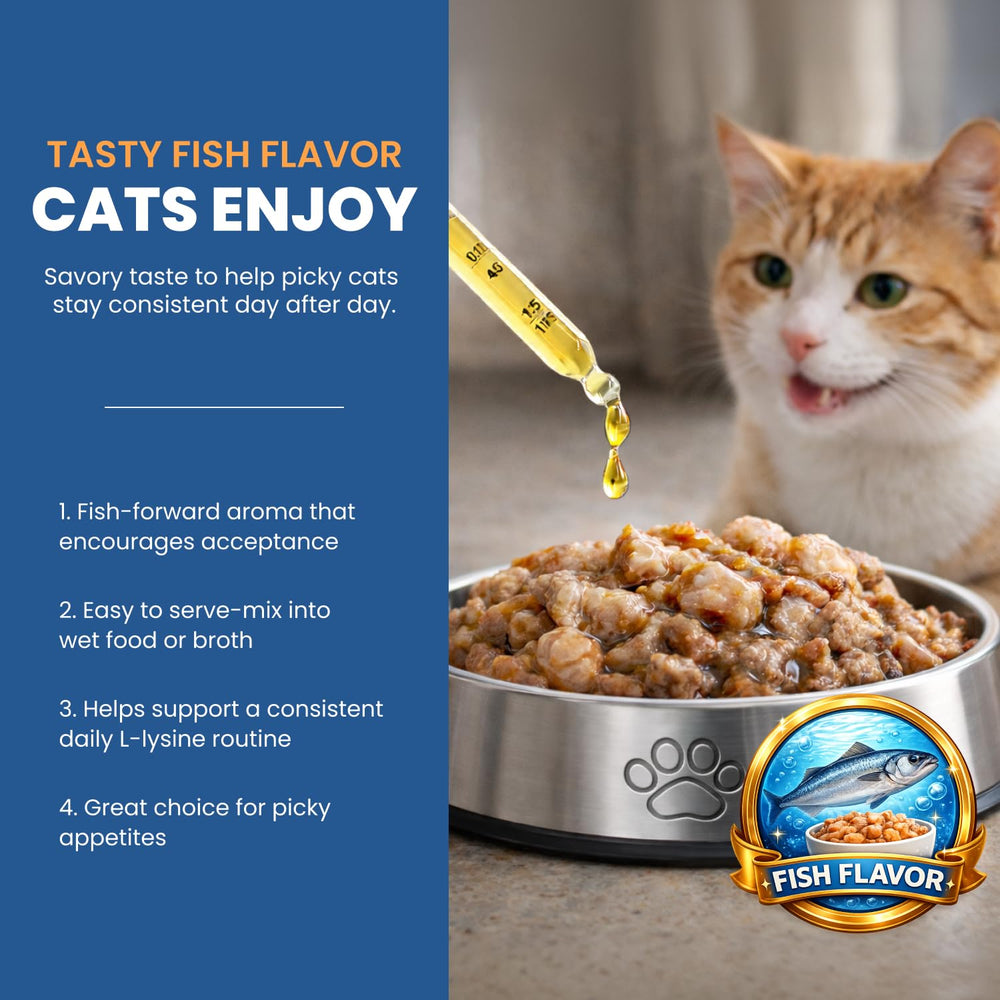 Pipette Easment L-Lysine – dosage précis pour chat.
