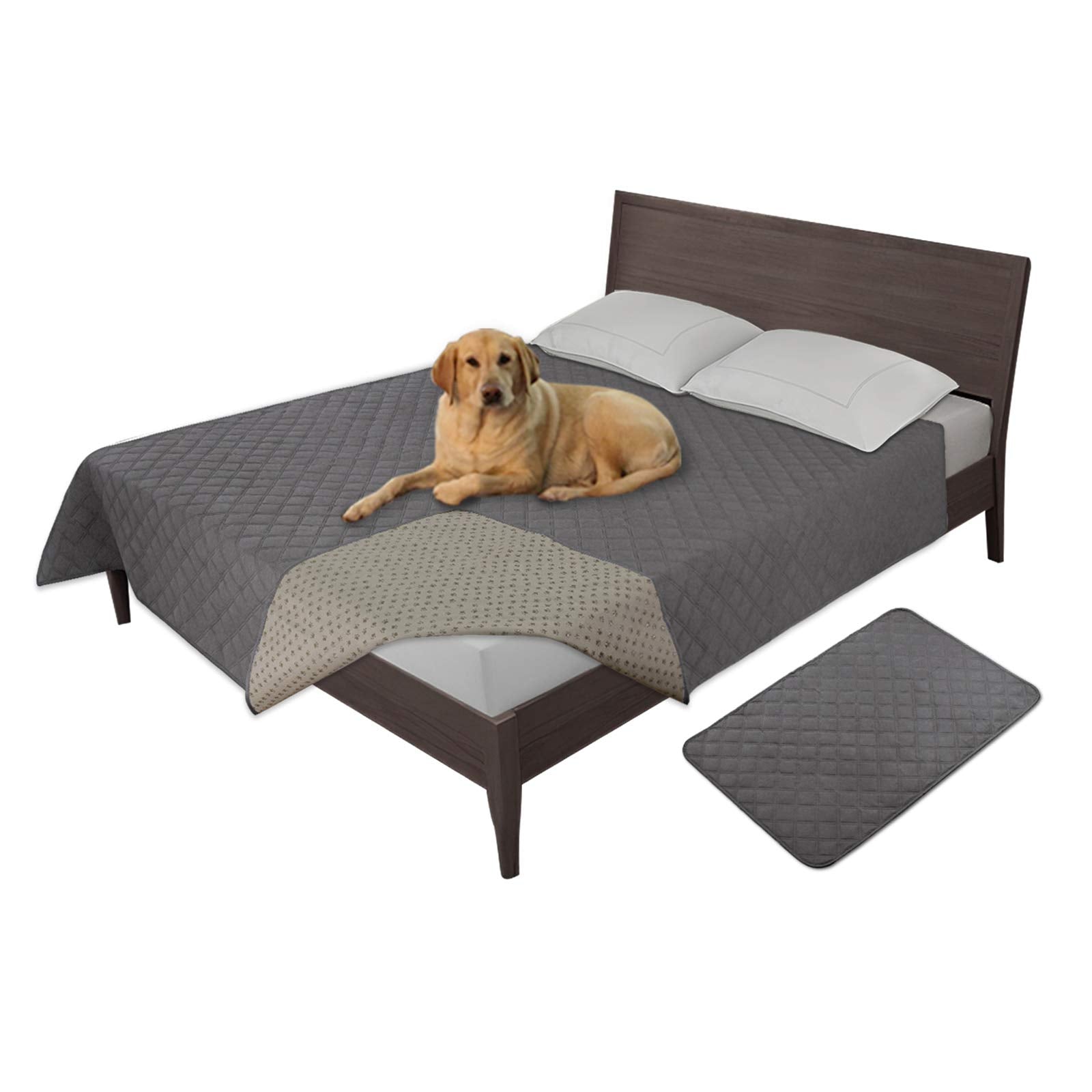 Housse Easy-Going imperméable pour chien sur canapé gris, protège contre les dégâts.