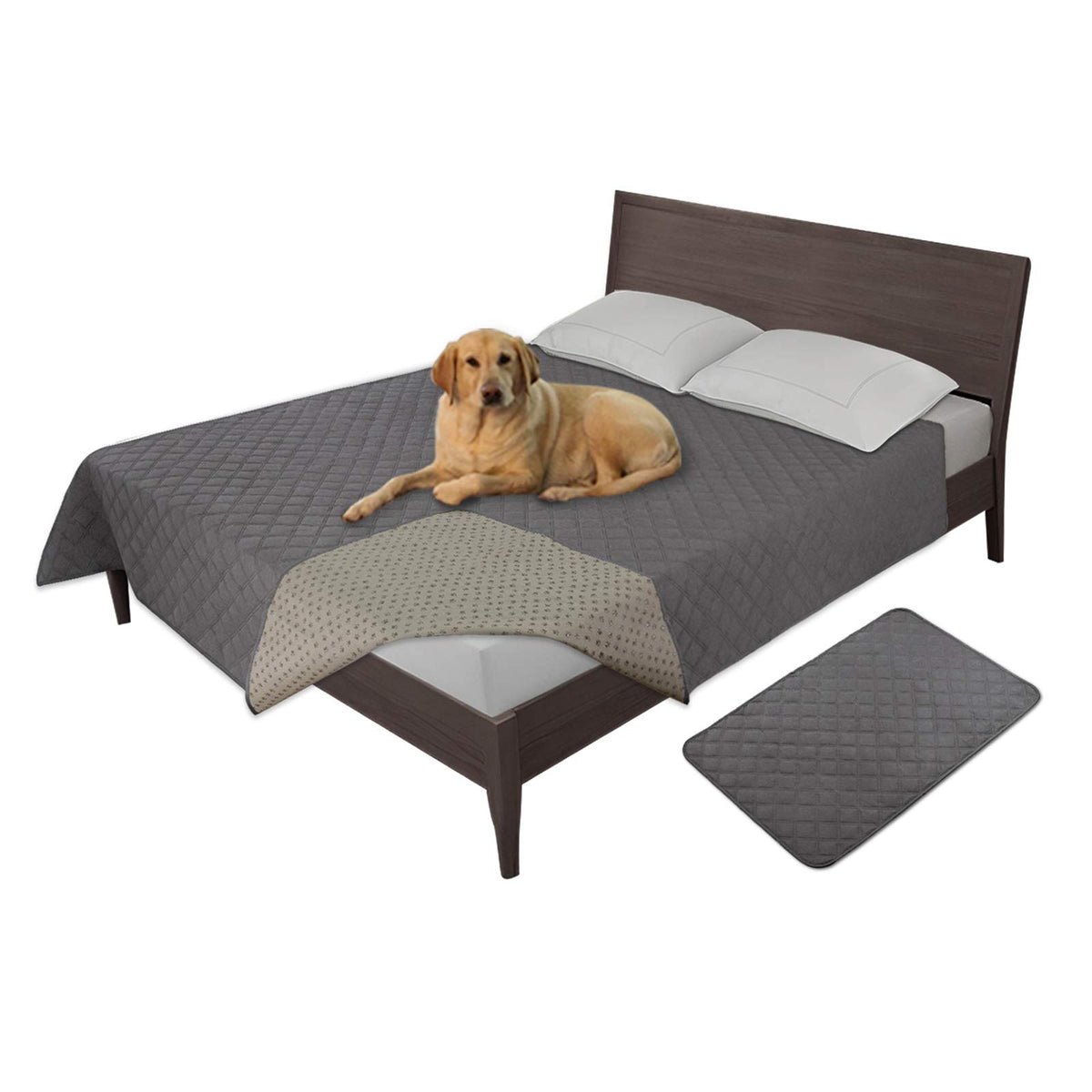 Housse Easy-Going imperméable pour chien sur canapé gris, protège contre les dégâts.