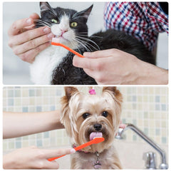 EASYA emballage individuel de 10 brosses, pratique et économique.