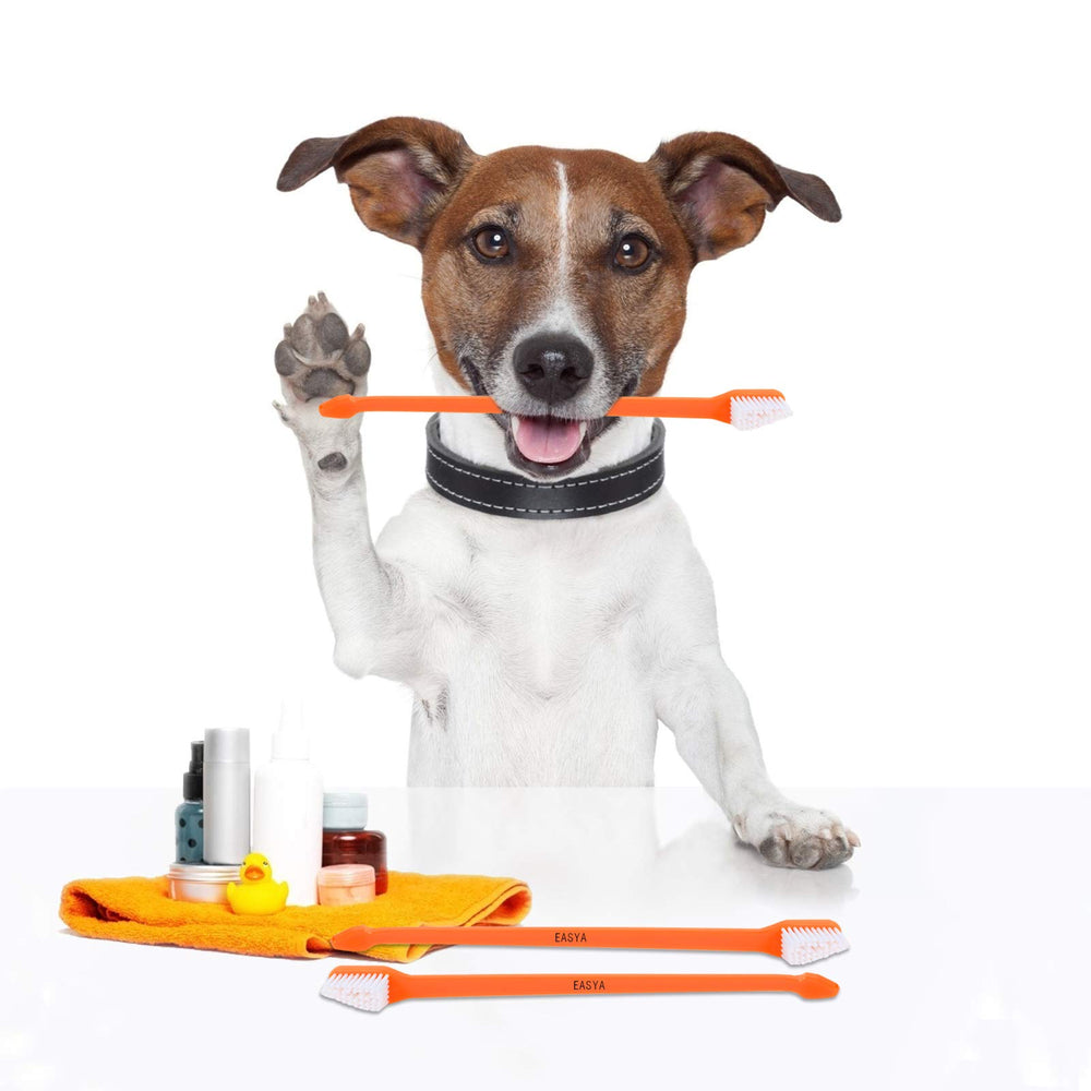 EASYA kit-dent chiens-10 pour instaurer une routine dentaire.