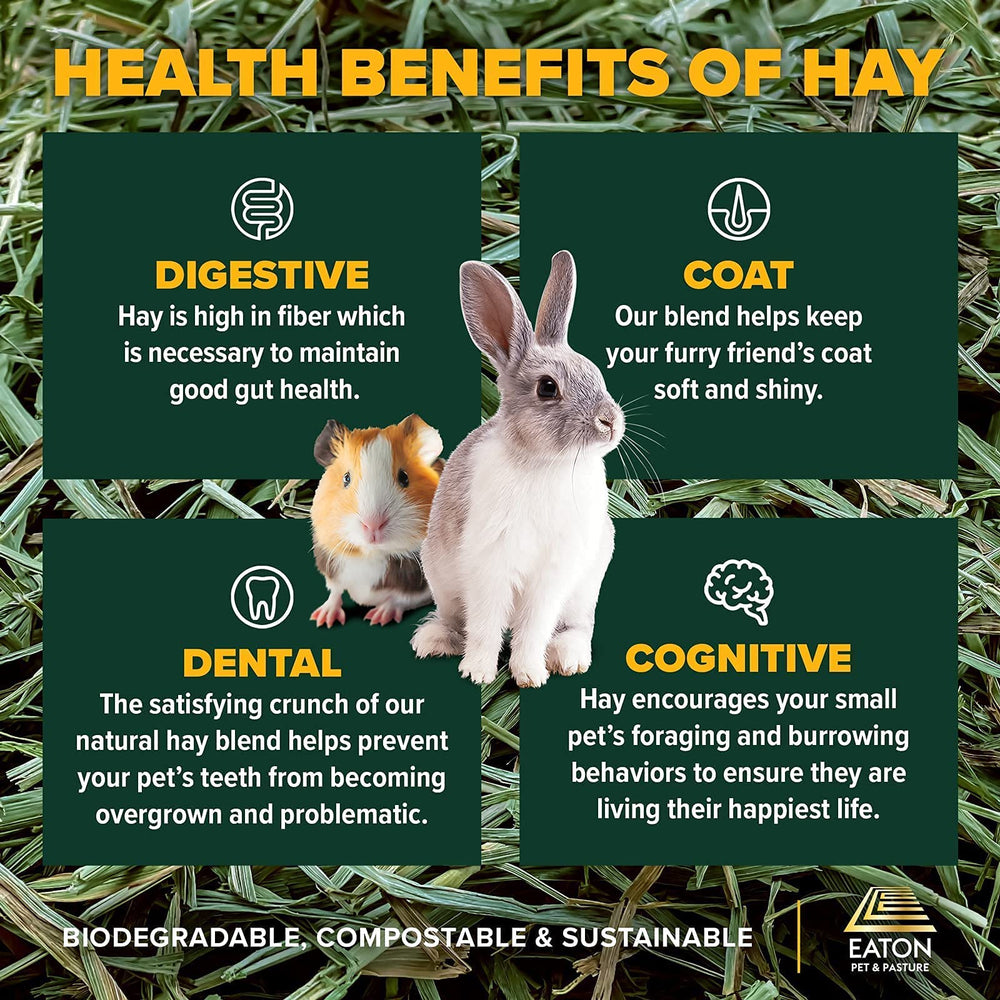 Eaton Pet and Pasture Stimulation comportement – rognage et fouille encouragés