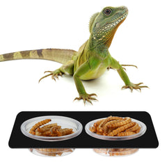 Gobelets alimentation reptile mini-tasse EBOOT, taille adapte pour petites especes.