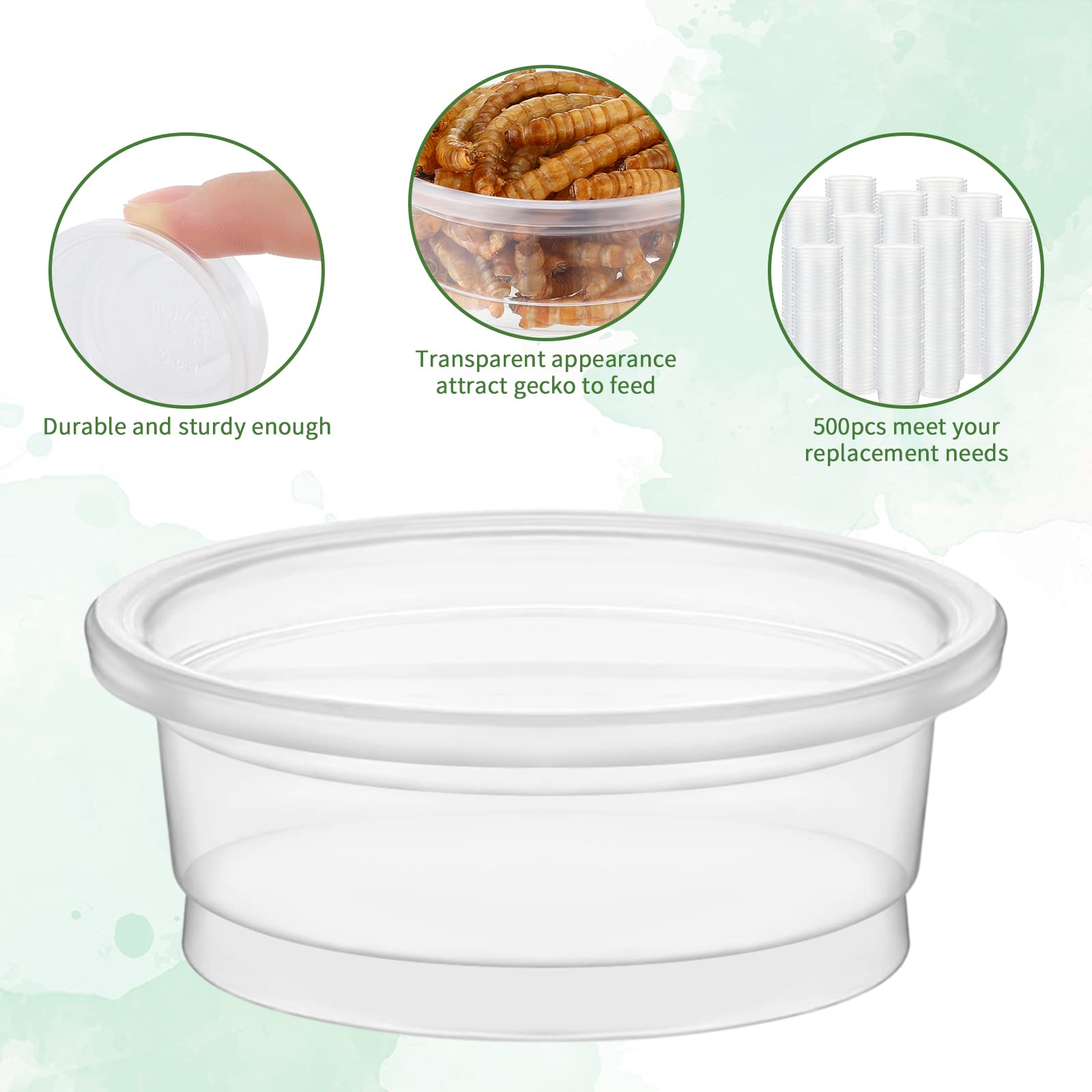 Gobelets EBOOT nourriture reptile gecko, design clair pour attirer l alimentation.