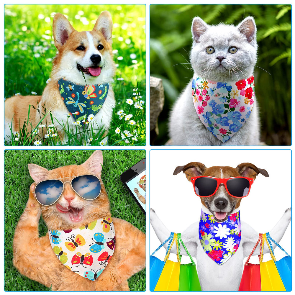 Cadeau parfait pour amoureux des chiens, motifs variés.
