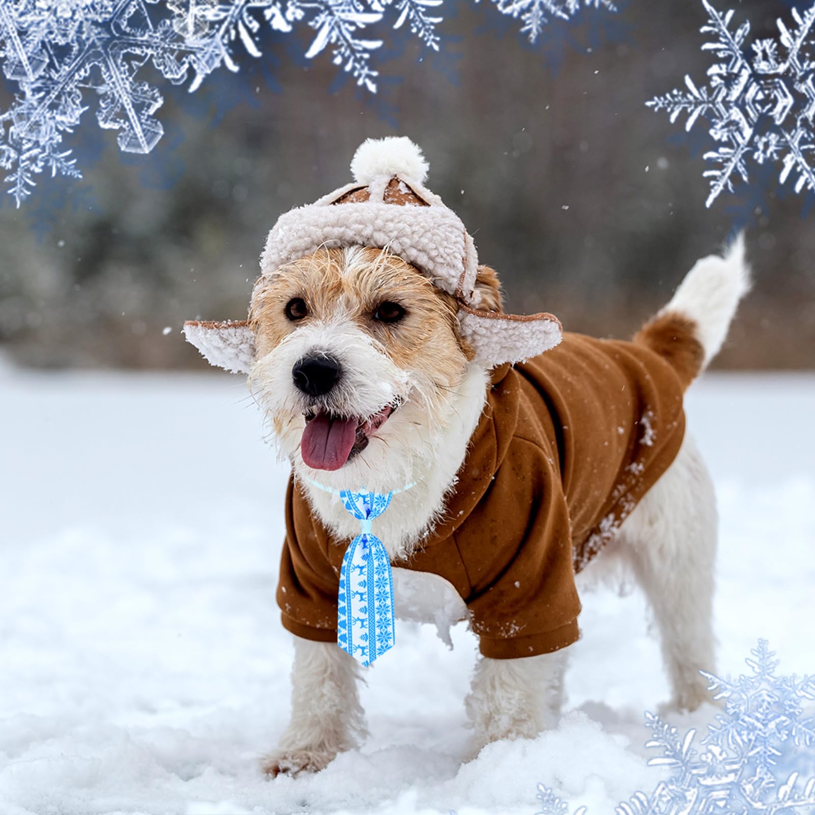 Eccliy nœud hivernal pour chat, motifs flocons.