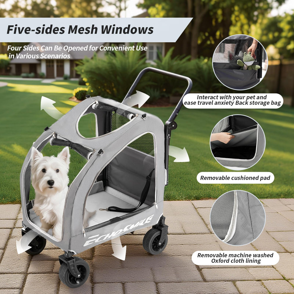 EchoSmile Attache-lacet et systeme de securite pour la promenade.
